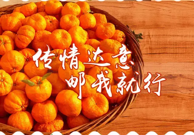 微信小程序制作:构建移动生态新支点