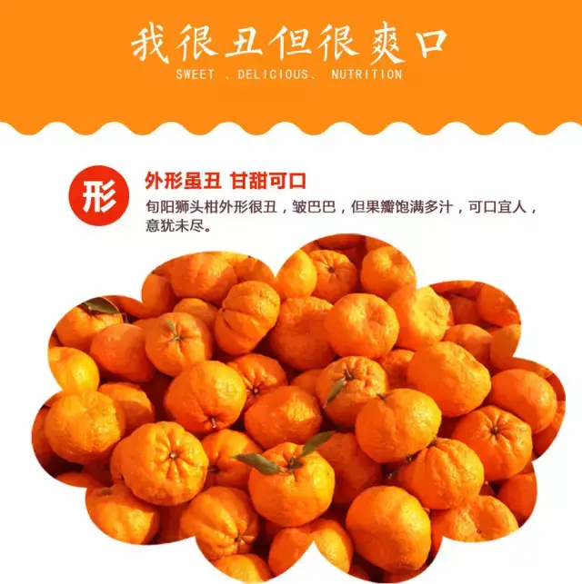 网络工作室：旬阳市的新媒体传播典范