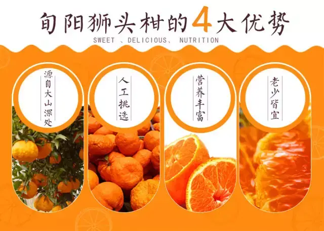 旬阳小程序开发